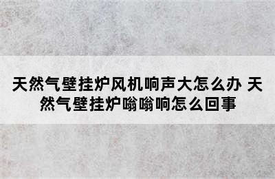 天然气壁挂炉风机响声大怎么办 天然气壁挂炉嗡嗡响怎么回事